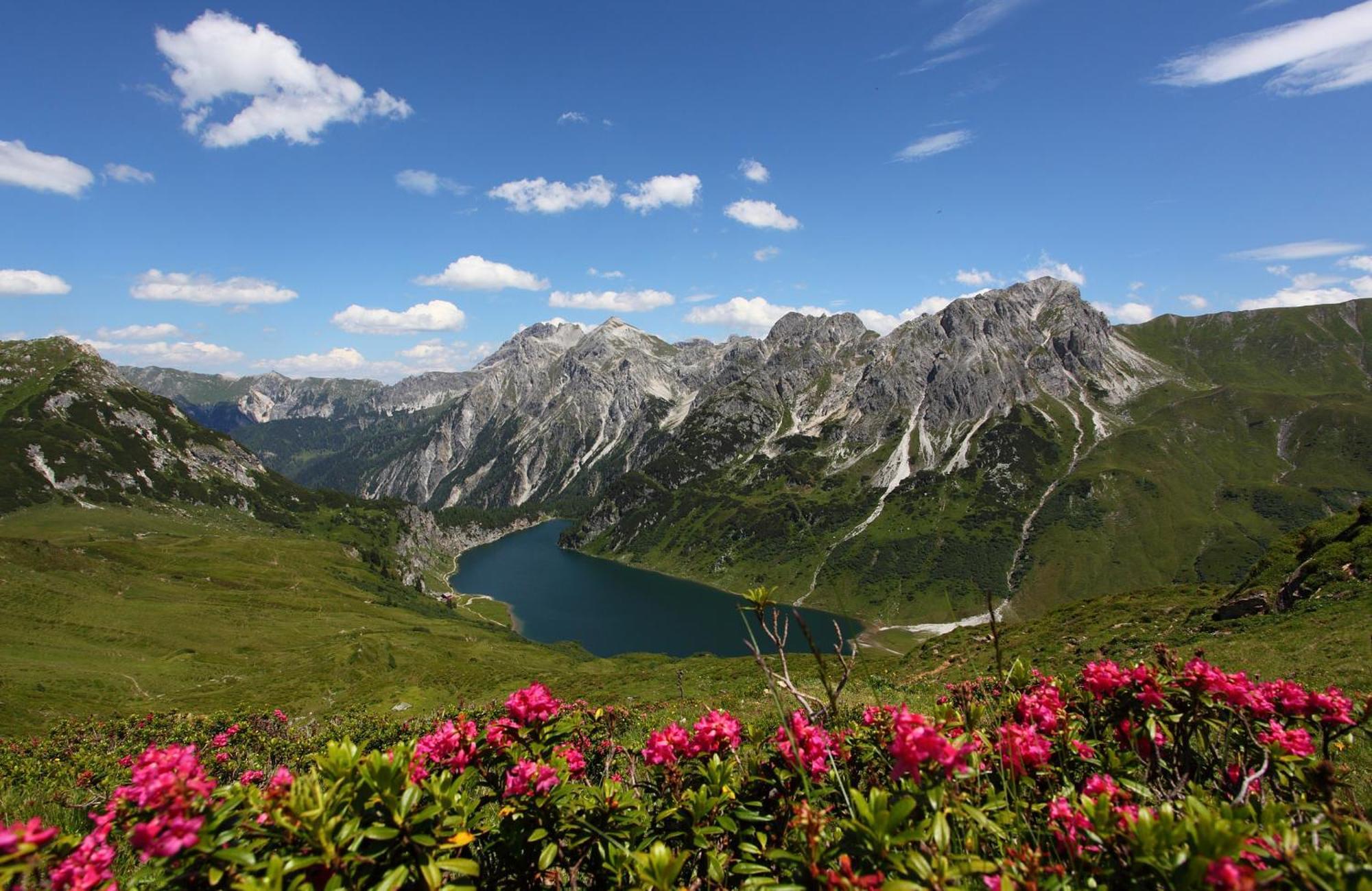 Landhotel Almroesl Im Grossarltal Hüttschlag Exteriör bild